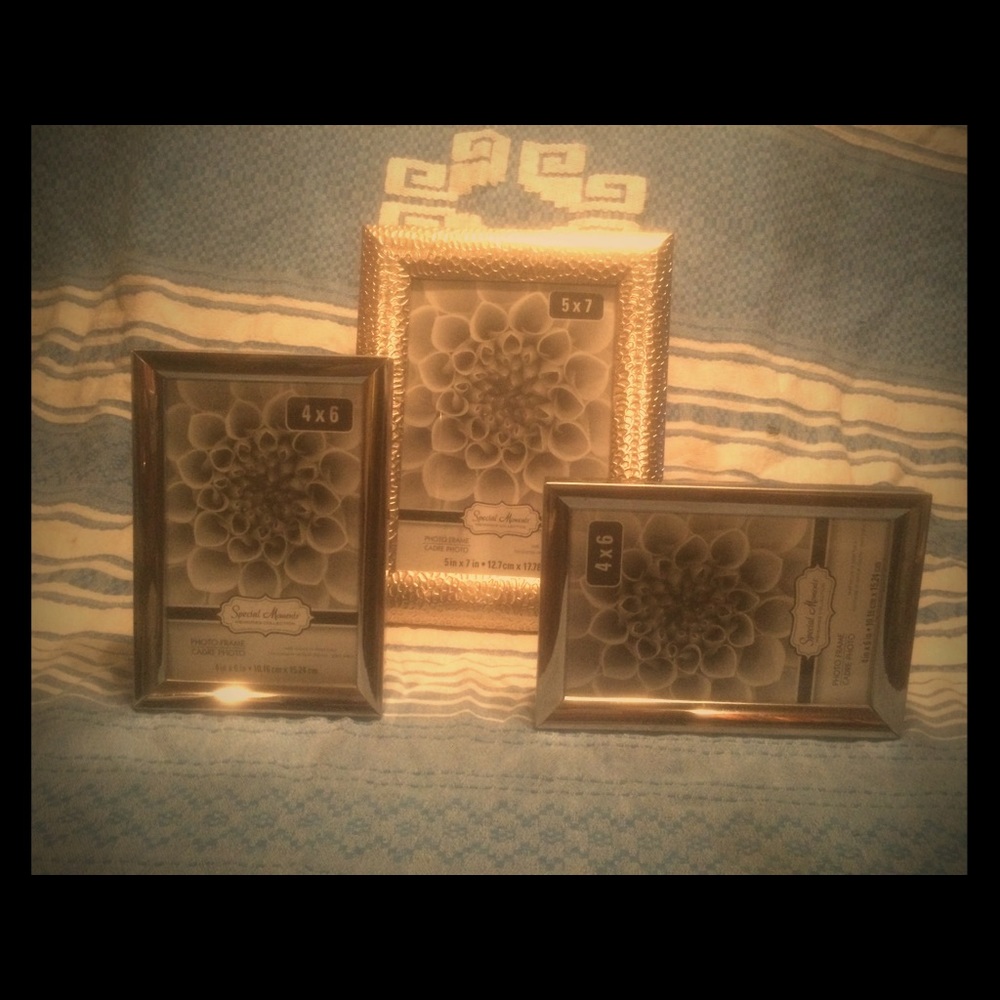 NWT  Stainless Picture Frames